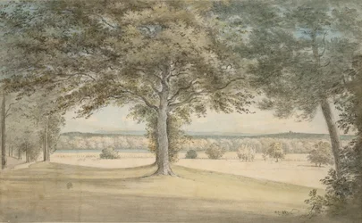 Kirtlington Park