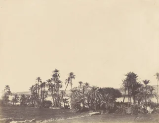 Orillas del Nilo, Kalabsché