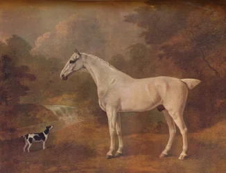 Un gris picado de pulgas y un terrier manchado, 1803