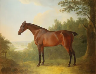 Marqués, un cazador bayo en un paisaje, 1811