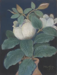 Flores de magnolia, 1933