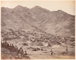 Kutchi