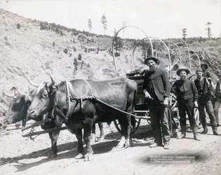 Fiebre del oro en Dakota del Sur