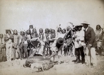 Desollando carne, 1891