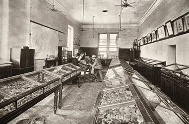 Museo, Escuela de Minas de Camborne, ilustración de 
