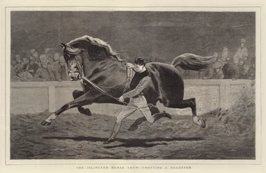 Exposición de Caballos de Islington, trotando un Roadster