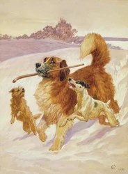 Tres perros jugando en la nieve, 1881