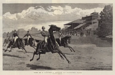Ganado en un galope, un boceto en Sandown Park