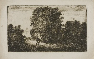 Árboles Bordeando un Camino