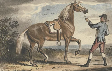 Muchacho de establo sosteniendo un caballo en un paisaje