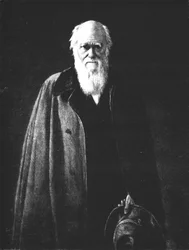 Charles Darwin 1809-1882, 1883