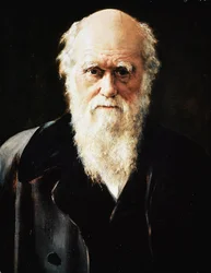 Retrato del naturalista inglés Charles Darwin (detalle)