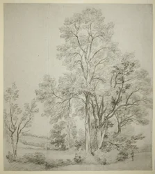 Un grupo de olmos (recto); Un estudio de East Bergholt con la iglesia (verso)