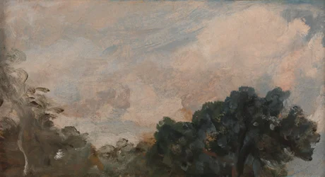 Estudio de nubes con árboles