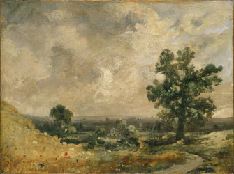 Paisaje inglés