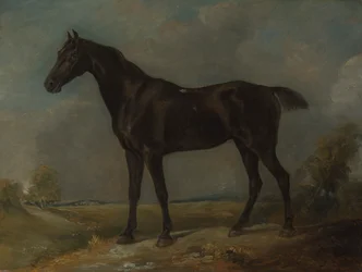 Caballo negro de Golding Constable