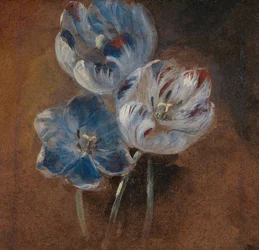 Estudio de tres tulipanes loro, ca. 1832