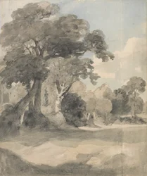Árboles en un prado