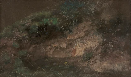 Sotobosque