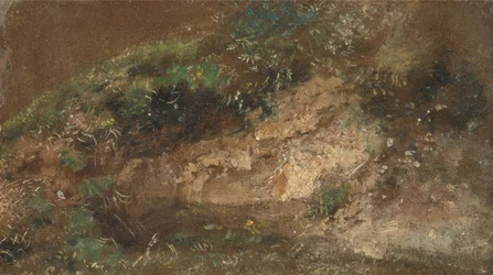 Sotobosque