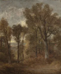 Escena del bosque con vista a Dedham Vale