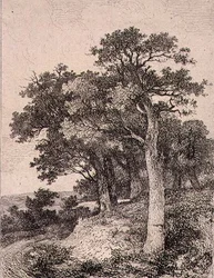 En Colney, pub. por J. & W. Freeman