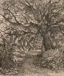 En Trowse, pub. por J. & W. Freeman