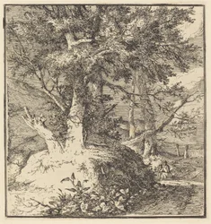 Árbol en un montículo
