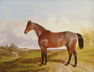 Estudio de un cazador bayo en un paisaje, 1854