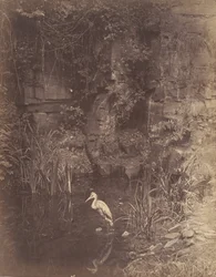 Piscator, No. 2, 1856