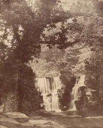 La cascada superior, bosque del valle de Penllergare,c. 1852 (foto)