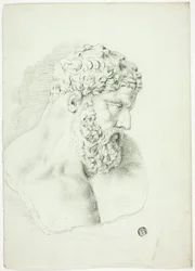Busto de barbudo