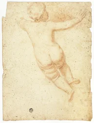 Putto de Espalda