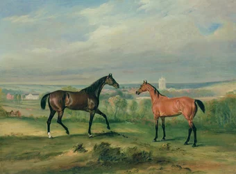 Los Cazadores Favoritos del Conde Bathyany en Melton Mowbray