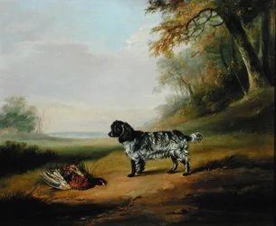 Paisaje con un perro