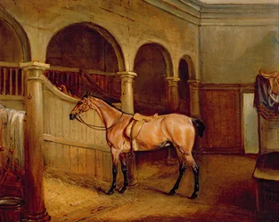 El caballo ruano de Lord Villiers en los establos de Middleton Park