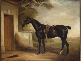 Retrato de Buckle, el Cazador del Primer Lord Chesham, 1836