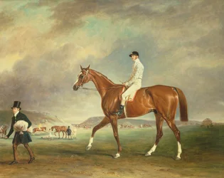El Cur, caballo de carreras castaño con jinete en Newmarket Heath