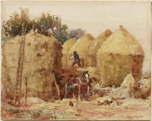El patio de la pila