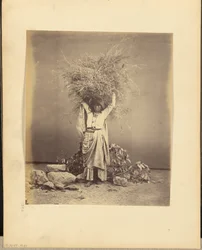 [Joven campesina india con ramitas en la cabeza]