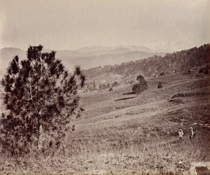 Paisaje con árbol y tres hombres, India
