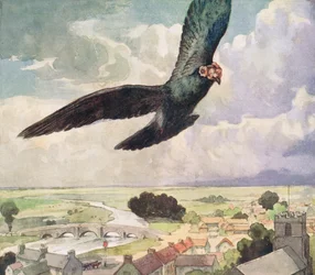 Pájaro volando sobre una ciudad, ilustración de "Helpers Without Hands" de Gladys Davidson, publicada en 1919 (litografía en color)
