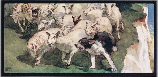 Perro pastor y rebaño en los acantilados, ilustración de "Helpers Without Hands" de Gladys Davidson, publicada en 1919 (litografía en color)
