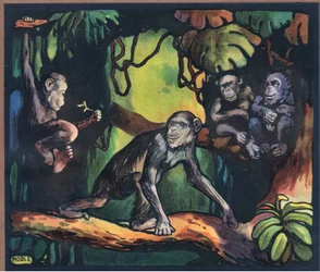 Chimpancé
