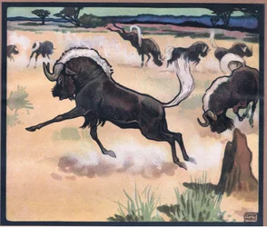Gnu