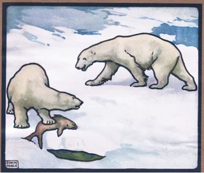 Oso polar
