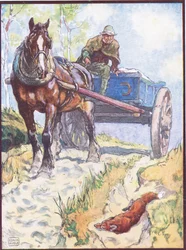 The Carter Observed a Fox Lying in a Rut