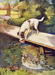 El perro y la sombra, de 