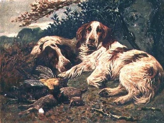 Un Par de Spaniels Clumber de Hígado y Blanco junto a la Bolsa del Día