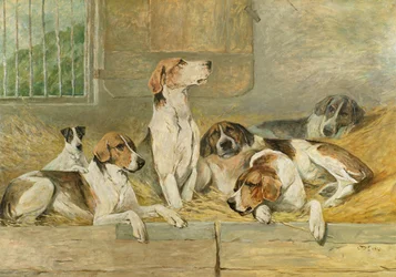Perros de caza